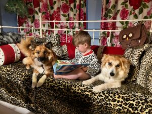 IJslandse Hond Kindervriend