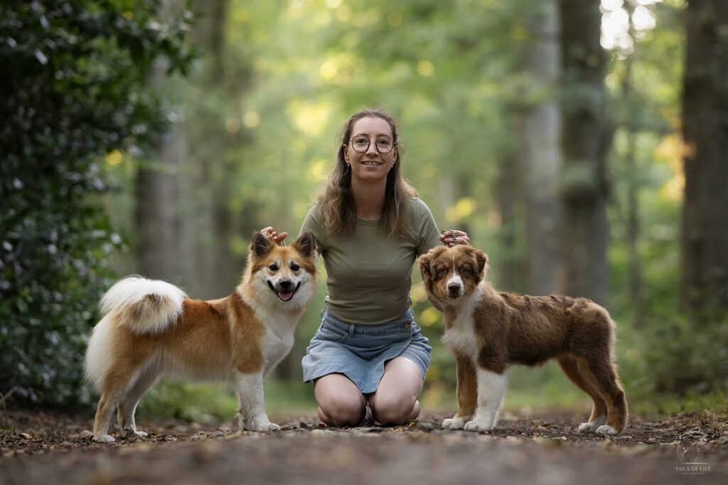 Frá Græni Vin - IJslandse Honden